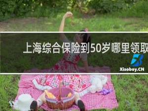 上海综合保险到50岁哪里领取