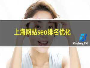 上海网站seo排名优化