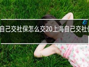 上海自己交社保怎么交 上海自己交社保方法简述