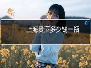 上海贵酒多少钱一瓶