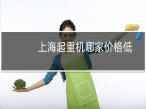 上海起重机哪家价格低
