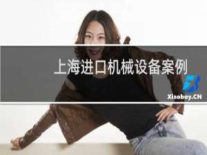 上海进口机械设备案例