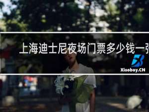 上海迪士尼夜场门票多少钱一张