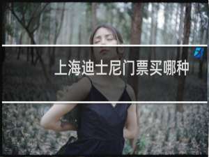上海迪士尼门票买哪种
