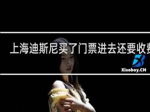 上海迪斯尼买了门票进去还要收费吗