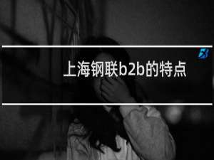 上海钢联b2b的特点