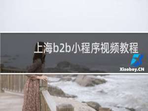 上海b2b小程序视频教程