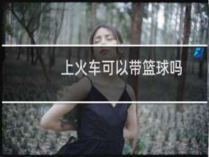 上火车可以带篮球吗