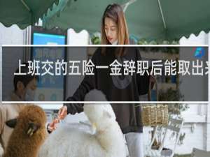 上班交的五险一金辞职后能取出来吗