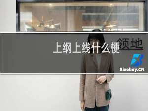 上纲上线什么梗