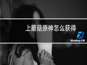 上蘑菇原神怎么获得