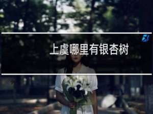 上虞哪里有银杏树