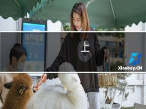 上，蛋，头，buff什么梗