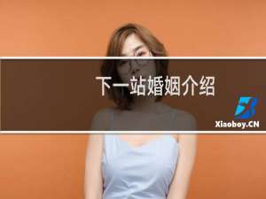 下一站婚姻介绍