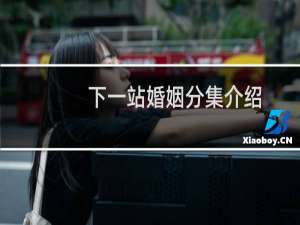 下一站婚姻分集介绍