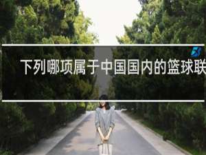 下列哪项属于中国国内的篮球联赛