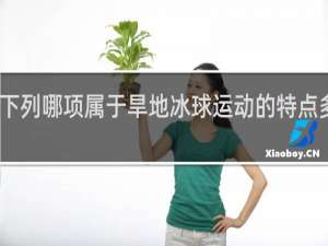 下列哪项属于旱地冰球运动的特点多选题