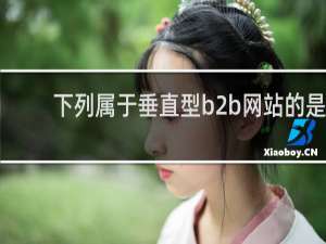 下列属于垂直型b2b网站的是