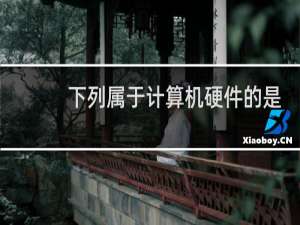 下列属于计算机硬件的是