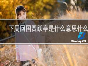 下周回国贾跃亭是什么意思什么梗