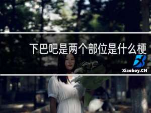 下巴吧是两个部位是什么梗