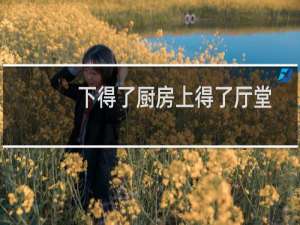 下得了厨房上得了厅堂的女人（下得了）