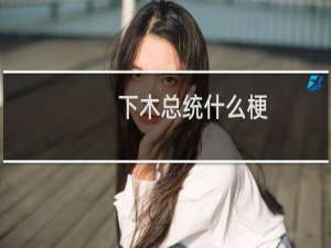 下木总统什么梗
