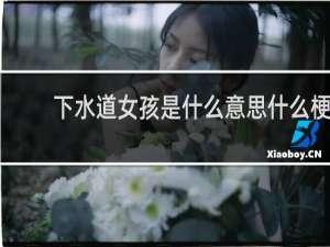 下水道女孩是什么意思什么梗