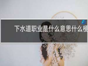下水道职业是什么意思什么梗