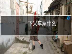 下火车票什么