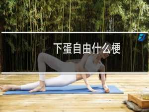 下蛋自由什么梗