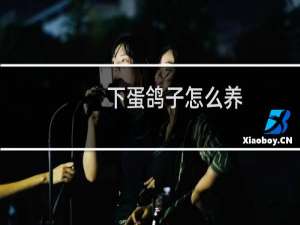 下蛋鸽子怎么养