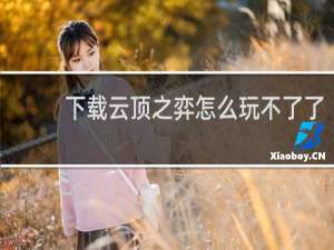 下载云顶之弈怎么玩不了了