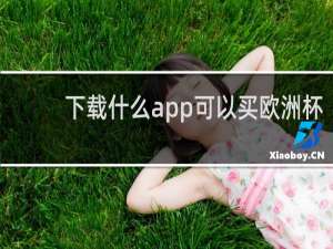 下载什么app可以买欧洲杯