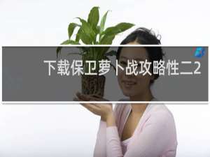 下载保卫萝卜战攻略性二2
