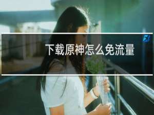 下载原神怎么免流量