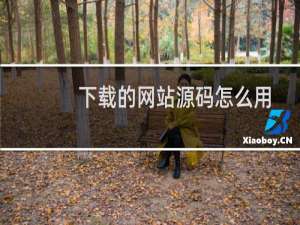 下载的网站源码怎么用