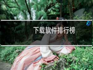国内电脑下载软件的排行榜