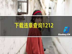 下载违章查询12123在哪里（下载交管12123违章查询在哪里）