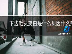 下边毛发变白是什么原因什么病