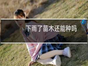 下雨了苗木还能种吗