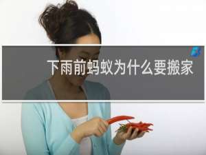 下雨前蚂蚁为什么要搬家