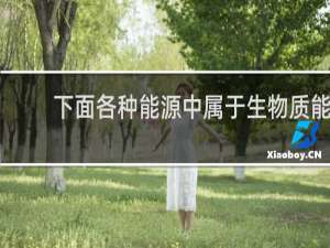 下面各种能源中属于生物质能的是