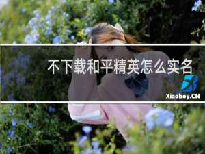不下载和平精英怎么实名认证