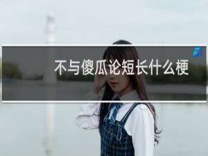不与傻瓜论短长什么梗