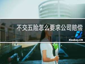 不交五险怎么要求公司赔偿