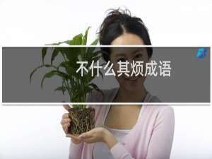 不什么其烦成语