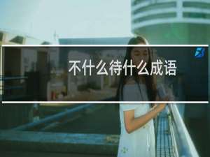 不什么待什么成语