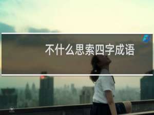 不什么思索四字成语