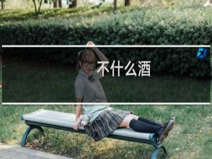 不什么酒